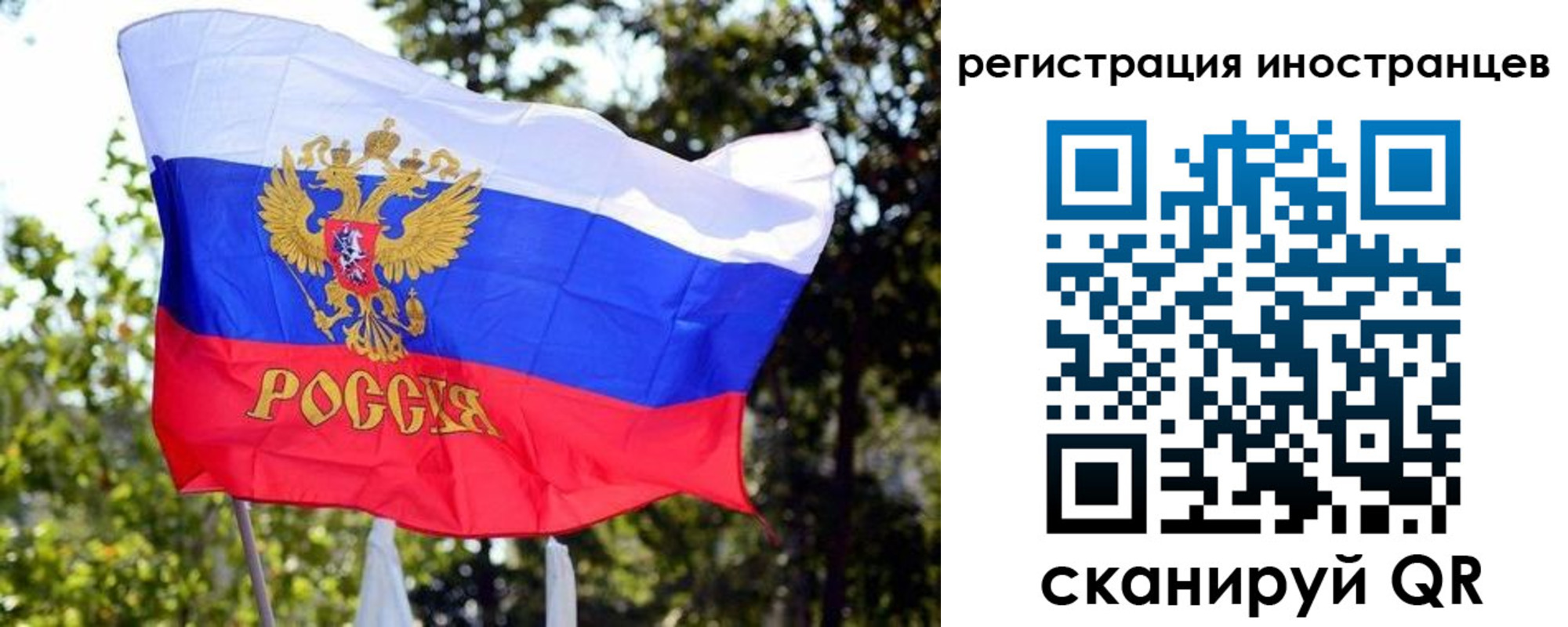 временная регистрация недорого в Людиново